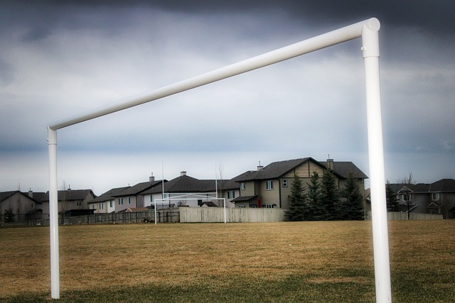 记者：曼奇尼执教萨德年薪1100万欧，成为世界薪酬第9高教练